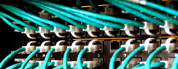 Organized green network cables connected to a patch panel